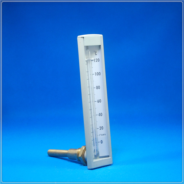 Navy/Marine glass thermometer